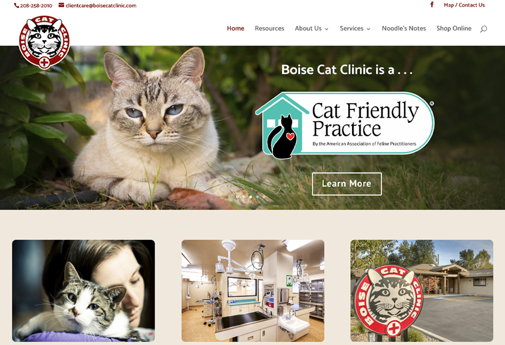 Boise Cat Clinic Website Magnuson Design