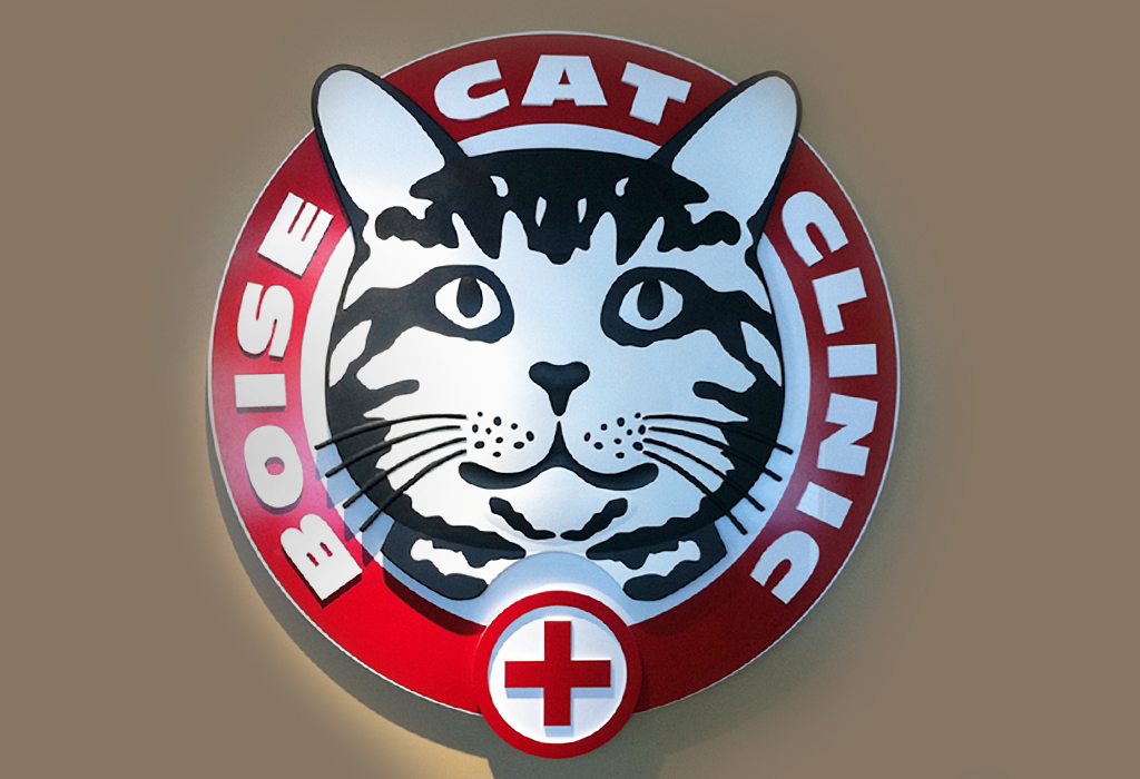 Boise Cat Clinic Identity Magnuson Design