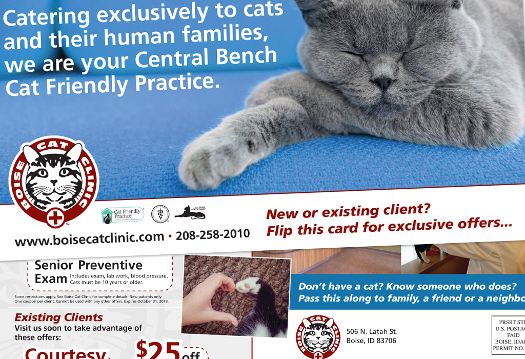 Boise Cat Clinic Direct Mail Postcards Magnuson Design